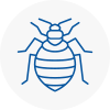 Bed Bug Extermination In Hebdenbridge